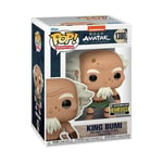 Funko Avatar: The Last Airbender King Bumi Pop! Vinyl Figure #1380 - (US IMPORT)