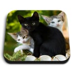 Square MDF Magnets - Cute Kittens Black Tabby Ginger Cat  #24573