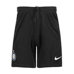 Nike Inter M NK BRT Stad Short Ha Shorts de Sport Homme Black/(White) (No Sponsor) FR: XL (Taille Fabricant: XL)