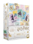 USAopoly The OP Games | Harry Potter Loteria | Traditional Loteria Mexicana Game of Chance | Bingo Style Game Featuring Custom Artwork & Illustrations from Harry Potter Films | English & Spanish