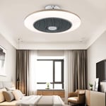 GaoF LED 40W Mute Ceiling Fan With Light Quiet Fans Lighting For Bedroom Living Room Dimming Lamp, Remote Control Dimmable Ceiling Light With Heating Function (Color : A)