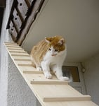 Elmato Escaliers pour Chats, 1-4 Mètres Extensibles, (1,98 Mètres avec 1 Connecteurs)