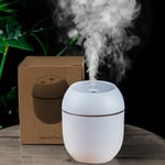 (Valkoinen) USB-kannettava ilmankostutin, 250 ml:n eteeristen öljyjen diffuusori, 2-tilaa automaattinen sammutus LED-valolla Home Car Mist Maker Face Steamerille