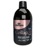 Natures Aid Marine Collagen Liquid 5000mg, Premium High Strength Hydrolysed Type 1 Collagen Peptides with Added Biotin Zinc for Hair Skin Nail and Joint Support, Tropical 500 ml