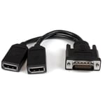 StarTech DMS-59 to DisplayPort - 8in - DMS 59 to 2x DP - Y Cable - DMS-59 Adapter - DisplayPort Splitter Cable - LFH Cable (DMSDPDP1) -