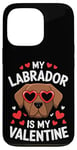 iPhone 13 Pro Chocolate Labrador My Valentines Hearts Day Dog Mom Dad Case