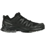 Chaussures Salomon  Xa Pro 3D V9