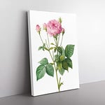 Big Box Art Pretty Pink French Roses by Pierre-Joseph Redoute Canvas Wall Art Print Ready to Hang Picture, 76 x 50 cm (30 x 20 Inch), White, Beige, Green, Purple, Green