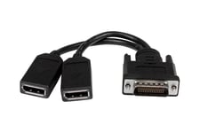 StarTech.com DMS-59 to DisplayPort - 8in - DMS 59 to 2x DP - Y Cable - DMS-59 Adapter - DisplayPort Splitter Cable - LFH Cable (DMSDPDP1) - display-splitter - 20.3 cm