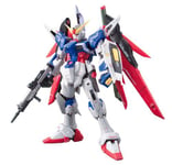 Mobile Suit Gundam Seed Destiny - Zgmf-X42s Destiny Gundam (Rg)