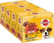 PEDIGREE Repas pour Chien - 48 Sachets Fraîcheur (Lot de 4 Packs 12x100g) - Pâtée pour Chien en Gelée - Boeuf / Volaille / Agneau / Poulet - Nourriture Complète & Equilibrée avec Ingrédients Naturels