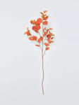 Everlands Autumn Blossom Stem, Pale Orange