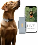 PAJ GPS Tracker for Dogs - Runaway Alarms + UK & Worldwide Live Tracking - Battery Saving Mode Near Routers - Dog Recall - LED Lights - Waterproof (IP67) - fits every collar, Grey