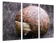 Tableau Moderne Photographique, Impression sur bois, Ballon de soccer Vintage paysage, ballon de sport, 97 x 62 cm, ref. 26804