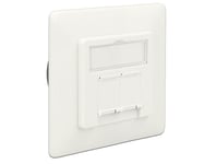 Delock Modular Wall Outlet flush mount 2 Port Cat.6A LSA - innbygd utgang