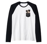 Miniature American Shepherd Puppy Dog In Pocket Cute Pet Raglan Baseball Tee