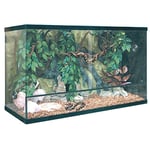 ICA trs180 Terrarium repti-Selva Verre