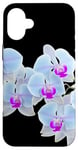 Coque pour iPhone 16 Plus Magnifique orchidée Phalaenopsis bleu clair Formes noires Mania