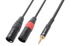 PD Connex CX70-6 Kabel 2xXLR Hane - 3.5 Stereo hane, 6.0m, signalkabel mini tele - 2 x XLR Hane 6m