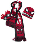 Spider-Man Spider-Man Scarf blue red