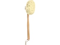 Donegal Donegal Bath Sponge On A Wooden Handle (6036) 1 Pc