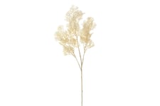 AmandaB White Cypress Bloom - AmandaB