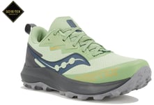 Saucony Peregrine 14 Gore-Tex W Chaussures de sport femme