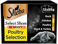 Sheba Select Slices In Gravy, Poultry Selection, Wet Cat Food Pouches For Adult