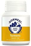 NEW Turmeric Tablets For Dogs And Cats 100 Tablets Free Shipping