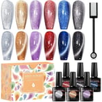 Glitter Cat Eye Gel Nagelfärg Set Soak Off UV LED Ljus Stjärnhimmel Effekt Magnetisk