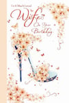 Wife Happy Birthday Card To a Much Loved Flowers Butterfly & Shoe Design