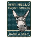 Donkey Why Hello Sweet Cheeks Sign Vintage Tin Signs Funny Metal Tin Sign Wall Art Garden House Plaque for Bathroom Kitchen Cafe Wall Halloween Christmas Decor, 8 x 12 Pouce