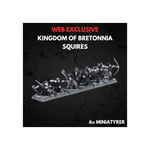 Kingdom of Bretonnia Squires Warhammer The Old World