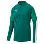 Puma Cup Training 1/4 Zip Top Pull Homme Alpine Green/Pepper Green FR : L (Taille Fabricant : L)