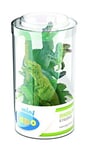 Papo 33019 Mini PLUS Dinosaurs Set 2 Tube, 6 pcs Figurine, Multicolour