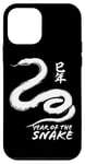 iPhone 12 mini The Year of the Snake Chinese New Year 2025 Case