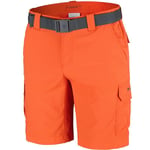 Columbia Silver Ridge™ II Cargo Short - Short randonnée homme  