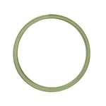 Vaessen Creative Aluminium flat wire 5x1mm 5m apple green,