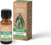 Vera Nord Essential Oil Eucalyptus Gl Obulus 10Ml