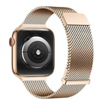 DUX DUCIS Apple Watch 44/45/46mm/Apple Watch Ultra Armband Milanese Pro Series Guld