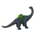 GY - Dinosaure en plastique motif Animal Pot de fleur plante succulente Cactus Pot pour la maison bureau jardin ornement décoration vente au détail