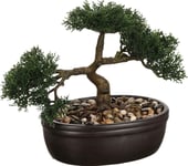 Atmosphera Bonsai-Träd I Sortj-Kruka 23 Cm