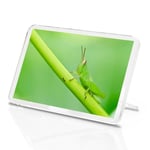 Green Grasshopper Classic Fridge Magnet - Bug Insect Garden Biology Gift #14128