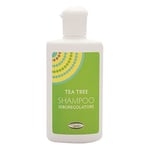 VIVIDUS Tea Tree Seboregolatore Schampo, 200 ml - NVSS