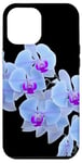 Coque pour iPhone 12 Pro Max Magnifique orchidée bleue Phalaenopsis en forme de mania