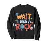 Wait I See A Rock Retro Geology Rockhounding Mineralogy Sweatshirt