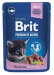 Brit Premium Pouch pennuille, valkoinen kala, 24x100 g