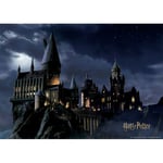 Poster intissé - Harry Potter poudlard dans la nuit - 155 x 110 cm