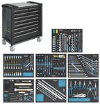 Hazet 179XL-8-VW/243 Servante d’atelier avec assortiment 1025 x 980 x 503 mm/nombre d'outils 243