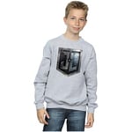 Sweat-shirt enfant Dc Comics  Justice League